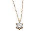 Silbercollier 4.0 rosé