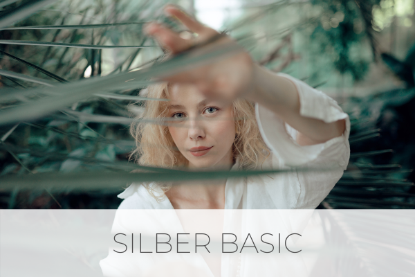 Zur Kollektion Silber Basic